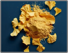 Ginkgo Biloba Powder in Nitric Boost Ultra